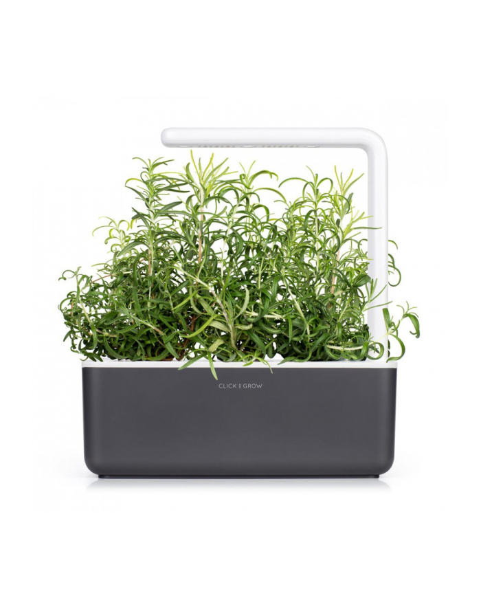 Kapsułki roślinne Click and Grow Plant Pods Rozmaryn 3-Pack SGR51x3 główny