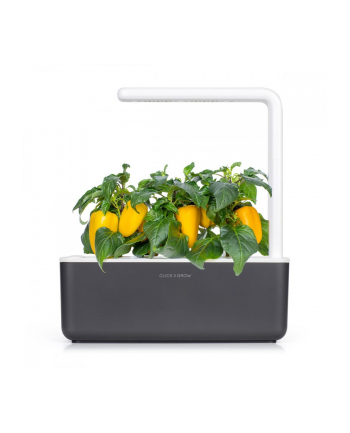 Kapsułki roślinne Click and Grow Plant Pods Słodka żółta papryka 3-Pack SGR53X3
