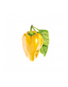 Kapsułki roślinne Click and Grow Plant Pods Słodka żółta papryka 3-Pack SGR53X3 - nr 5