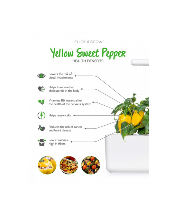 Kapsułki roślinne Click and Grow Plant Pods Słodka żółta papryka 3-Pack SGR53X3