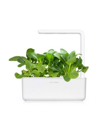 Kapsułki roślinne Click and Grow Plant Pods Pak Choi 3-Pack SGR58x3
