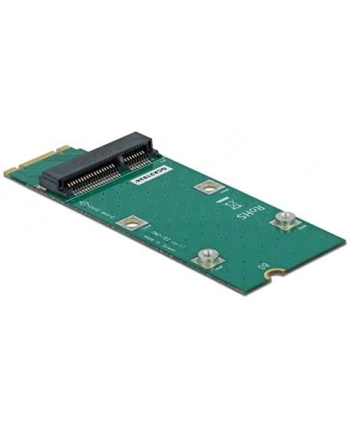 DeLOCK Adapter M.2 Key B + M> Mini PCIe Slot (PCIe / USB)