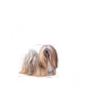 ROYAL CANIN Mini Exigent 1kg - nr 2
