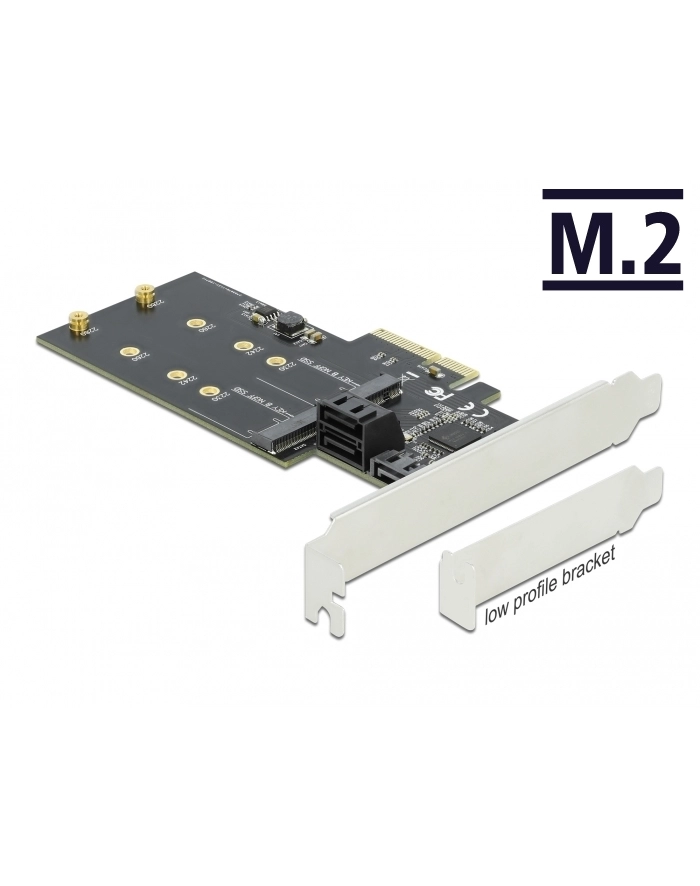 DeLOCK PCIe 3P SATA + M.2 KeyB x4 LP 90499 główny