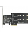 DeLOCK PCIe 3P SATA + M.2 KeyB x4 LP 90499 - nr 7