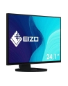 EIZO EV2495-BK - 24 - LED (black, WUXGA, HDMI, USB-C) - nr 44