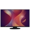 EIZO EV2795-BK - 27 - LED (black, QHD, KVM switch, USB-C) - nr 22