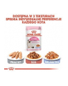 Royal Canin Cat Kitten Food Jelly Pouch 12 x 85g - nr 5