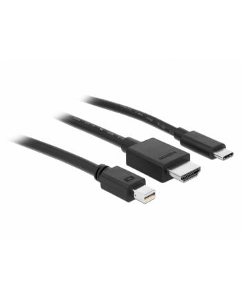 DeLOCK 4K HDMI adapter cable 1.8m - 85830 USB-C, HDMI or mini DisplayPort