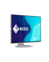 EIZO EV2495-WT - 24 - LED (white, WUXGA, HDMI, USB-C) - nr 21