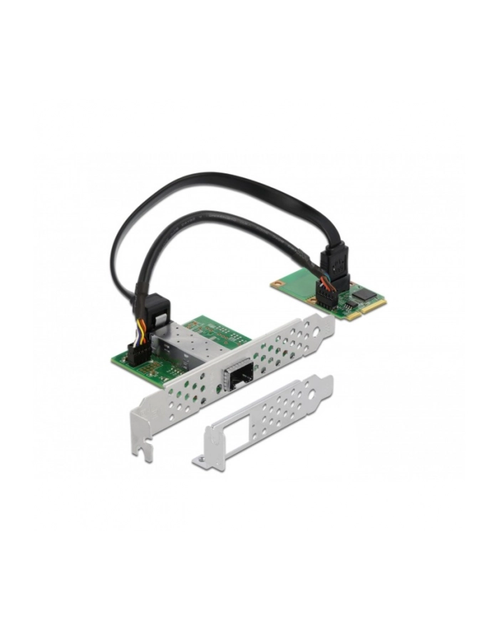 DeLOCK 95267 interface cards/adapter Internal, Network adapter główny