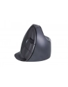 Evoluent VerticalMouse D, mouse (black / silver, large, RH) - nr 10