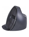 Evoluent VerticalMouse D, mouse (black / silver, large, RH) - nr 15