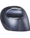 Evoluent VerticalMouse D, mouse (black / silver, large, RH) - nr 26