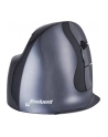 Evoluent VerticalMouse D, mouse (black / silver, large, RH) - nr 29