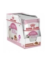 Royal Canin Cat Kitten Food Jelly Pouch 12 x 85g - nr 6