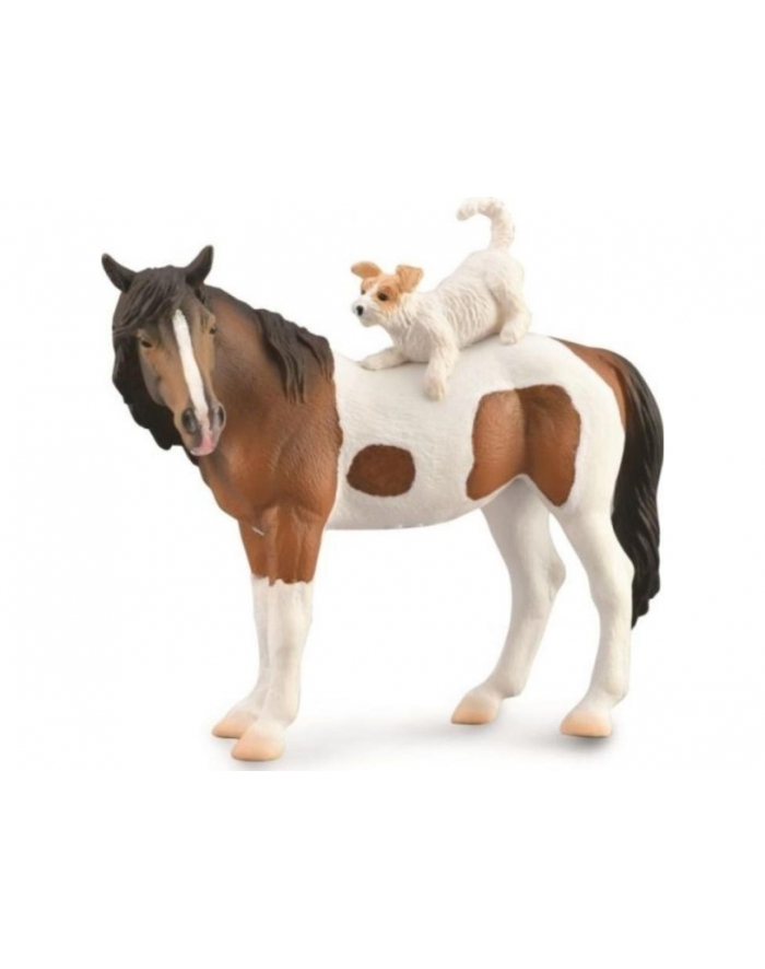 collecta Mare 'amp; terrier 88891 główny