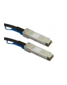 StarTech Kabel SFP+, 10Gbps, 10m (SFP10GAC10M) - nr 6