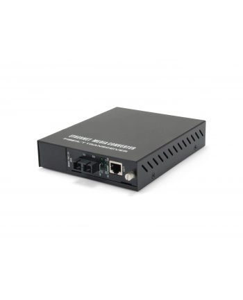 LEVELONE  MEDIA KONVERTER  RJ45&GT;SC MM MANA (GVM1101) nr 1