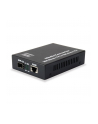 LEVELONE   - FIBRE MEDIA CONVERTER - 10 GIGE (GVT0500) - nr 7