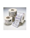 Zebra Z-Band Direct Adult 25X279Mm - 10005008 - nr 1