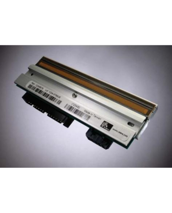 Zebra Kit Printhead 300 dpi ZM600 (79804M)