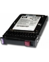 HP SPS 300GB (507284-001) - nr 4