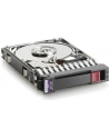 HP SPS 300GB (507284-001) - nr 7