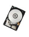 Ibm 300GB 10K 6G 2,5 G2 Hs (41Y8376) - nr 1