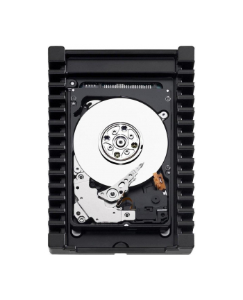 HP HD 600GB (613922001)