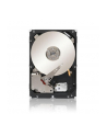 IBM 1 TB 7200 rpm SAS2 cache (81Y9836) - nr 4