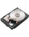IBM 300Gb HDD (FRU81Y9671) - nr 6