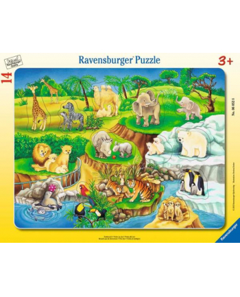 ravensburger Puzzle ramkowe 14el. ZOO 060528