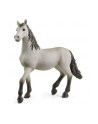 Schleich 13924 Hiszpański młody koń Horse Club - nr 1