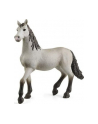 Schleich 13924 Hiszpański młody koń Horse Club - nr 2