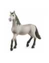 Schleich 13924 Hiszpański młody koń Horse Club - nr 5