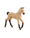 Schleich 13929 Źrebię rasy Hanoverian Horse Club - nr 1