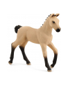 Schleich 13929 Źrebię rasy Hanoverian Horse Club - nr 2