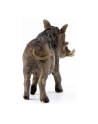 Schleich 14843 Guziec Wild Life - nr 14