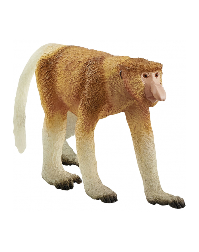 Schleich 14846 Nosacz Wild Life główny