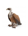 Schleich 14847 Sęp Wild Life - nr 1