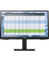 hp inc. HP P22 G4 21.5inch Monitor IPS FHD 16:9 250cd/m2 5ms DP HDMI VGA Monitor Europe - English localization - nr 24