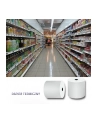 QOLTEC Thermal roll 80 x 70 55g/m2 10pcs BPA free - nr 6