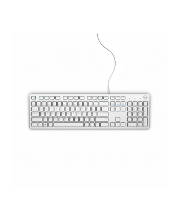 DELL Keyboard : US-Euro (Qwerty) Dell KB216 Quietkey USB  White