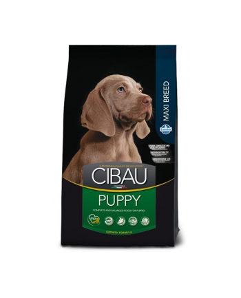 FARMINA CIBAU PUPPY MAXI 12kg + 2kg