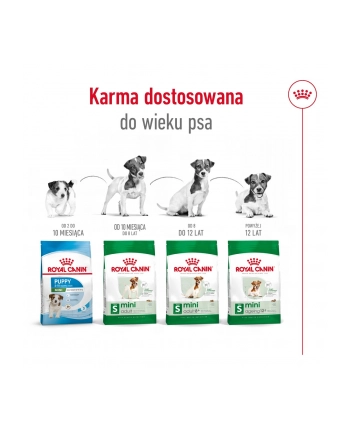 royal canin SHN Mini Adult +8 2 kg nr 2