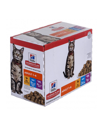 HILL'S Feline Adult Multipack Classic 12x85g