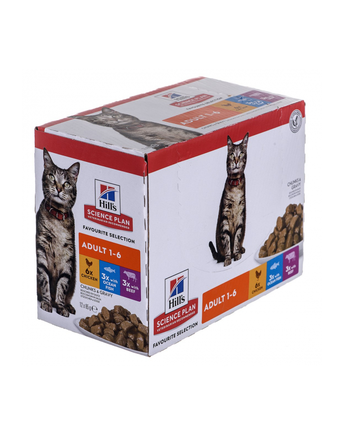 HILL'S Feline Adult Multipack Classic 12x85g główny