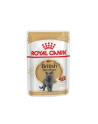 ROYAL CANIN British Shorthair pakiet 12x85g - nr 1