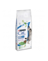 purina nestle PURINA CAT CHOW FELINE 3IN1 Indyk 15kg - nr 2